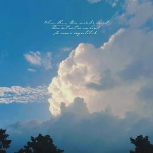 阿拉斯加的海湾