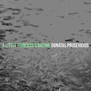 A Little Princess's Dream.