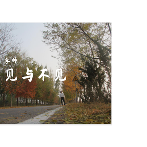 群星-见与不见（remix)（李帅 Remix）