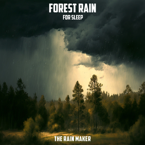 Soothing Forest Rain