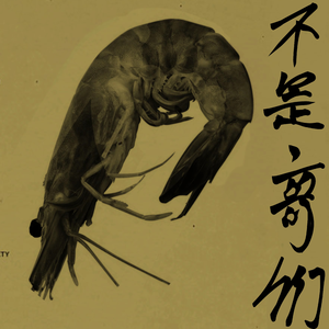 黄金时代（一个rapper兼rocker致王小波）