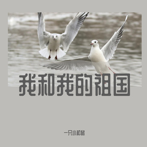 赵雷-成都（一只小松鼠 remix）