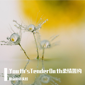 Youth's Tender Oath柔情誓约