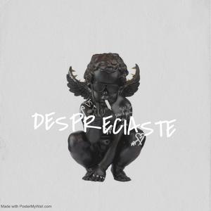 DESPRECIASTE