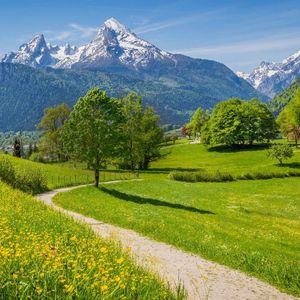 弹吉他的少年 - demo