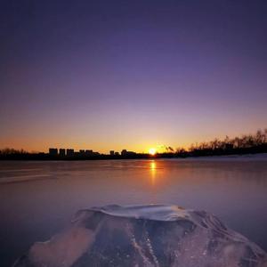 锦瑟无端五十弦