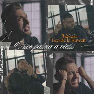 Orice palma a vietii