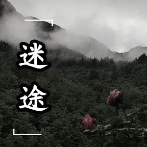 迷途