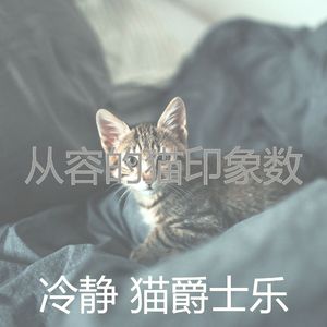 精彩小猫环境