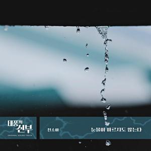 눈물이 마르지도 않는다