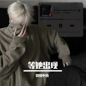 我是马背上自由的风