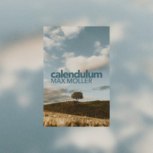 Calendulum