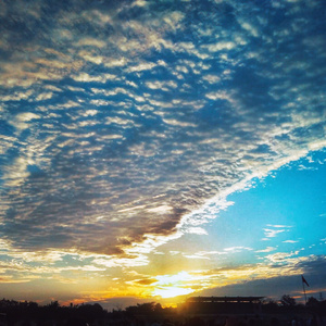 为你写诗做的歌