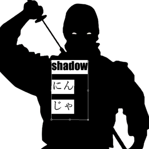 shadow にんじゃ