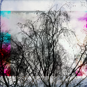 imply
