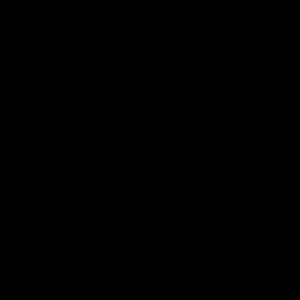 20211008