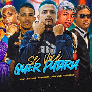Se Você Quer Putaria
