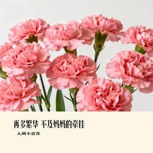 再多繁华 不及妈妈的牵挂