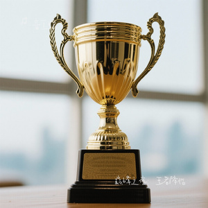 巅峰之夜：王者降临