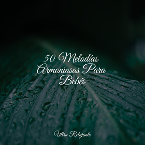 Deja Que Todo Se Vaya