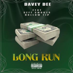Long Run (feat. Seff Smokes & Hollow Tip)