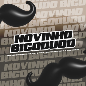 Novinho Bigodudo