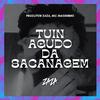 Produtor Zaza - Tuin agudo da Sacanagem (feat. MC Magrinho) (Slowed + Reverb)