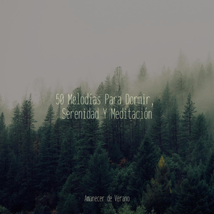 La Melodiosa Ensoñación Se Despliega