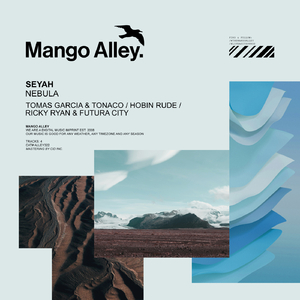 Nebula (Ricky Ryan & Futura City Rework)