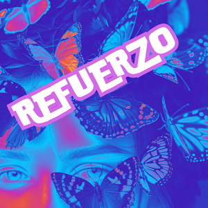 Refuerzo