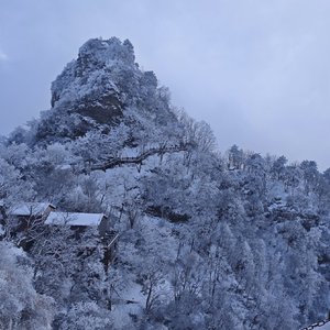 雾里晨光