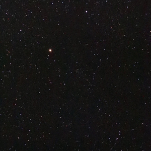 眼里有星星的人