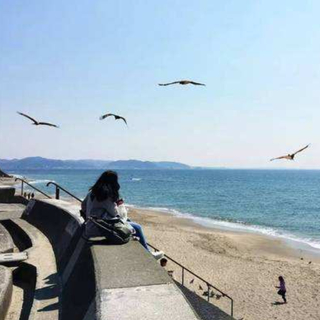 【海风丨夏日】日本海滨小镇的淳朴之声