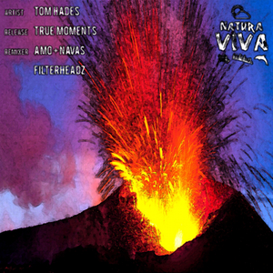 True Moments (Filterheadz Remix)