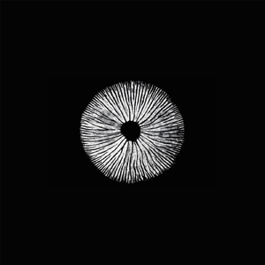 Warmth (Tracing Remix)