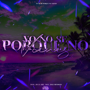 Yo no sé por qué no vienes