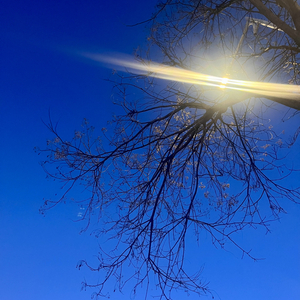 擁 抱 黃 昏 計 划