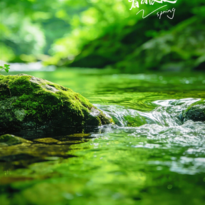 Misty March in Yangzhou