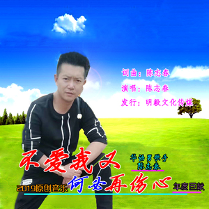 不爱我又何必再伤心（伴奏）