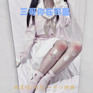 三哥你在哪里 (DJ版)