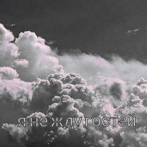 Я не жду гостей