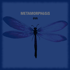 Outrospection (Learn to fly)