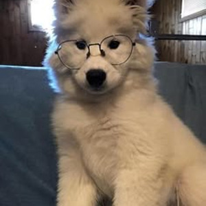 Jinu’s Lament (slowed)