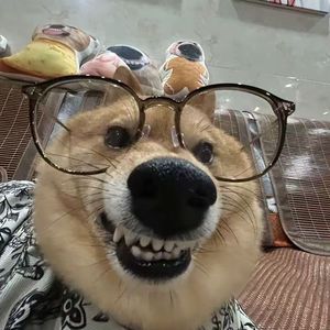 不遗憾（钢琴）