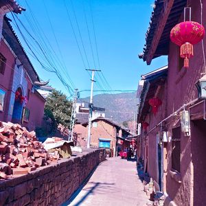 [free]种核桃树先