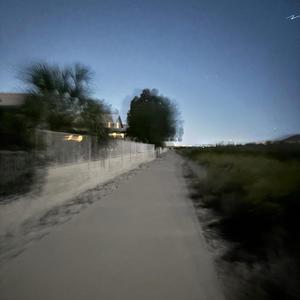 i shouldn't have, but i did (feat. Sylveon)