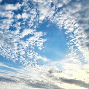 사랑과 이별 (발레 ver.)