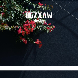 0GZXAW
