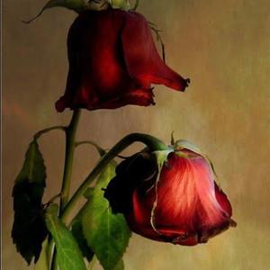 Vurgun (feat. Dilek Tekin)