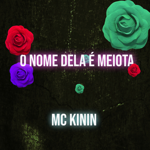 O Nome Dela é Meiota (feat. DJ Walter)